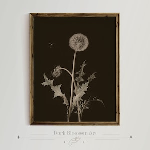 Dunkle Pusteblume, Stimmungsvolle Kunst, Romantischer Kunstdruck, Dunkel botanisch, Dunkel French Country, Dunkel Cottagecore, Rustikale Kunst, Halloween Art Print, Scary