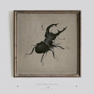 Antique Beetle Print, Stag Beetle, Insect Print, Vintage Art Print, Rustic Art, Cottagecore, Moody Art Print, Dark Academia, Indiana Jones