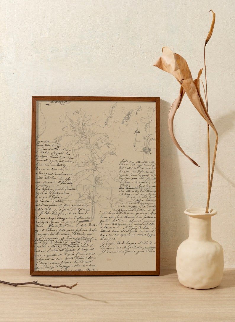 Light Academia, Dark Academia, Text Art, Book Art, Edgar Allen Poe