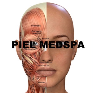 May include: A diagram of the facial muscles, labeled with their names, including the frontalis, corrugator supercilii, procerus, orbicularis oculi, zygomaticus minor, zygomaticus major, masseter, risorius, platysma, depressor septi nasi, orbicularis oris, mentalis, sternohyoid, and sternomastoid. The text "PIEL MEDSPA" is superimposed on the image.