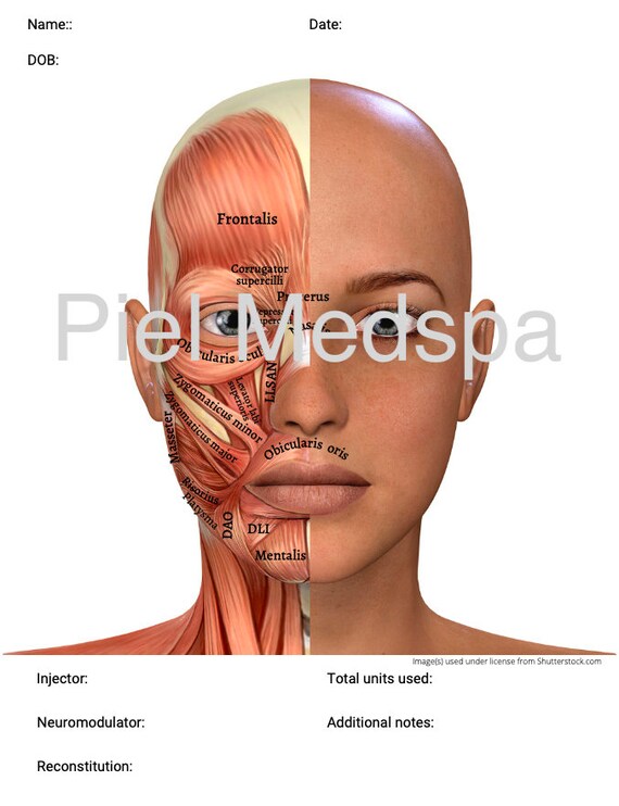 Printable Charting Document Cosmetic Injector Charting Etsy