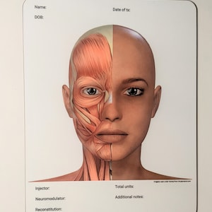 Facial Anatomy Dry Erase Board for Note Taking/Charting, Facial Muscles Labeled, Cosmetic Injector Tool, Training Visual Aid