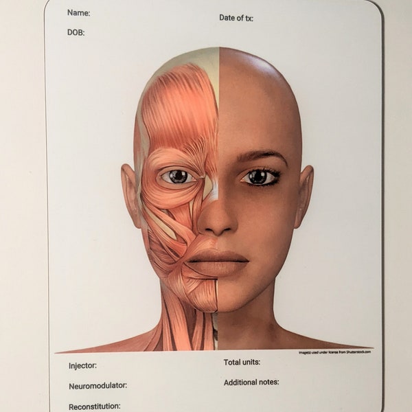 Facial Anatomy Dry Erase Board for Note Taking/Charting, Facial Muscles Labeled, Cosmetic Injector Tool, Training Visual Aid