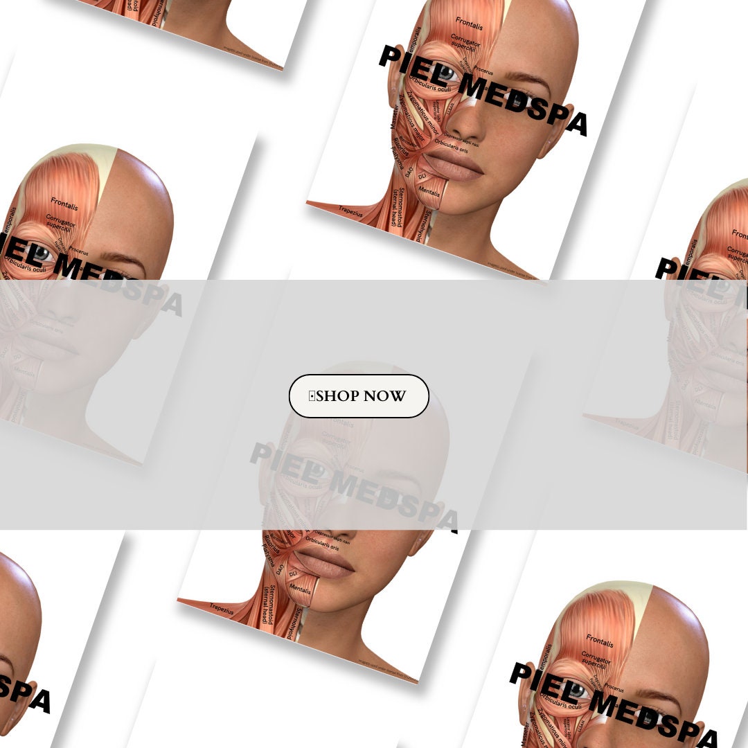 Charting Injector Face Printable Charting Document, Cosmetic Injector Charting Accessory - Etsy