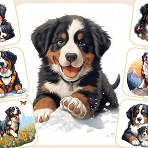 24 Berner Sennenhund Clipart | Detaillierte Hunderassen Illustrationen | Perfekt für Tierliebhaber, Züchter | Kommerzielle Nutzung | Sofort Download