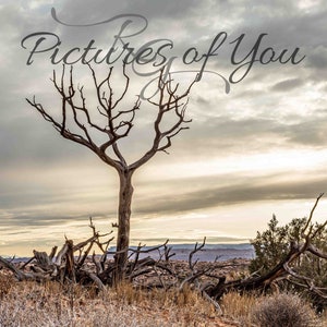 Arches National Park