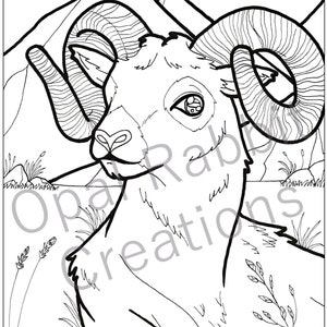 Mountain Ram - Printable Coloring Page