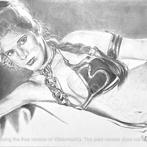 Digital Art - Princess Leia Star Wars Art | Princess Leia Poster, Slave Princess Leia, Star Wars Gift, Star Wars Poster, Star Wars Decor