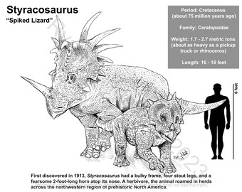 スティラコサウルス | 恐竜ファクトシート印刷可能なアート、ジュラ紀の子供部屋のインテリア、子供向けの印刷可能な恐竜ぬり絵、壁アート