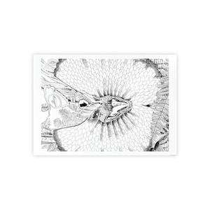Dilophosaurus | Wall Decor, Wall Art, Dinosaur Poster