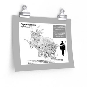Styracosaurus | Premium frame, dinosaurusprints, factsheet, kinderkamer decor, dinosaurus decor, dinosaurus kunst aan de muur, jongenskamer kunst aan de muur, poster