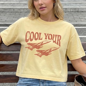 Vintage Crop Tee, Boxy Airplane Graphic Shirt, Distressed Retro 90s Top, Comfort Colors Cotton Tee