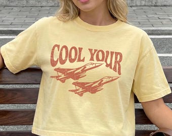 Vintage Crop Tee, Boxy Airplane Graphic Shirt, Distressed Retro 90s Top, Comfort Colors Cotton Tee
