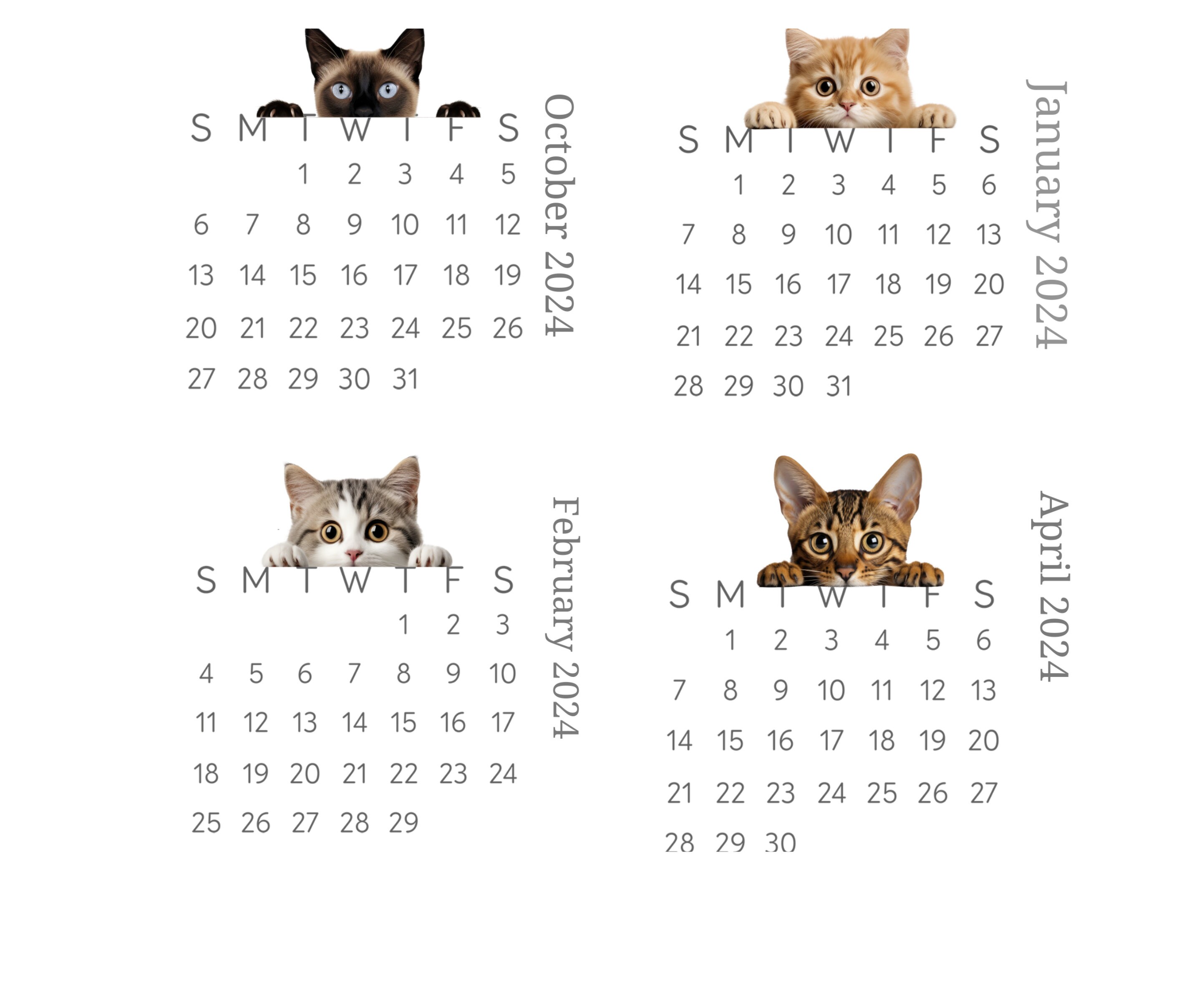 Peeking Cat Small Desk 2024 Calendar Stand up Mini Calendar Desktop or