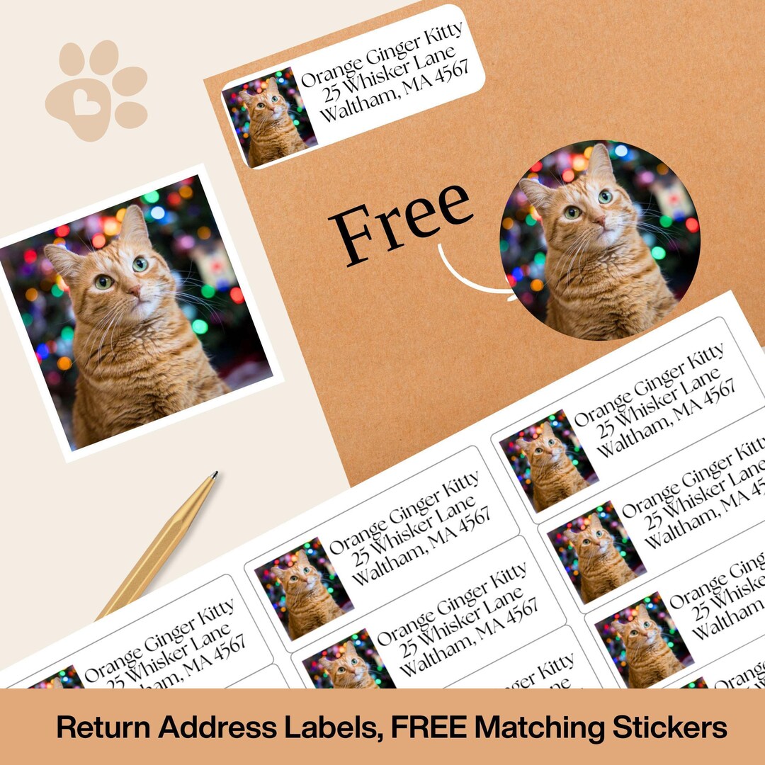 Custom Cat Photo Address Labels With FREE Stickers, Personalized Return ...