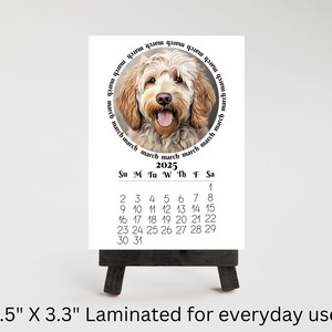 May include: A laminated 4.5" x 3.3" calendar for March 2025, featuring a dog's portrait surrounded by the word "march". The calendar is displayed on a small black easel, with the days of the month clearly visible.