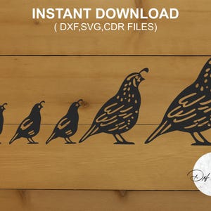 Op de afbeelding: Een digitale download met vijf gestileerde zwarte kwartelsilhouetten op een rij, variërend in grootte, tegen een achtergrond van houtnerf. De tekst "INSTANT DOWNLOAD" en bestandsinfo staan bovenaan.