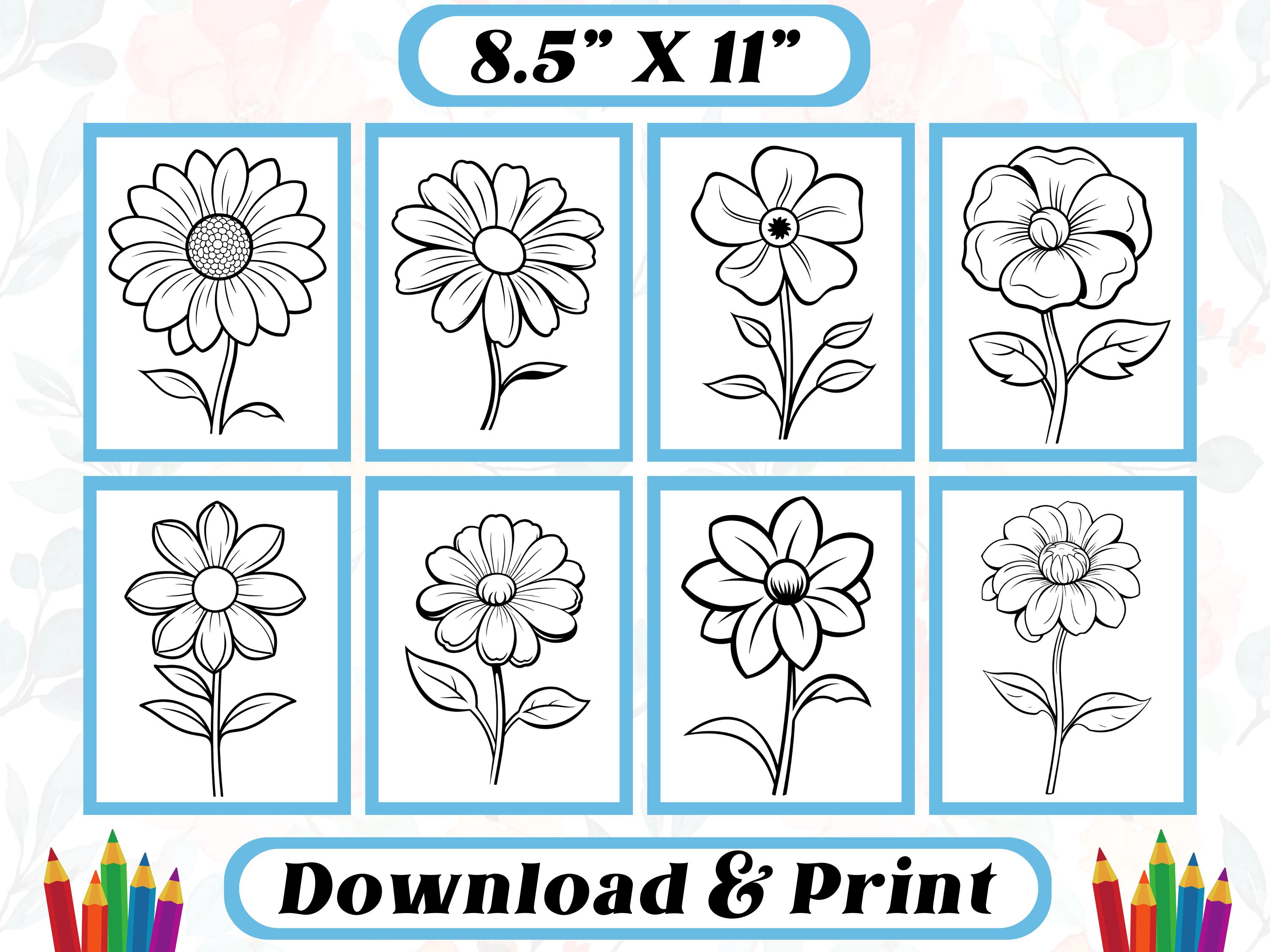 Bold Flower Coloring Pages: Easy Floral Designs for Kids (PDF Pattern ...