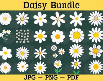Pakiet Daisy PNG: 25 wzorów kwiatowych (do pobrania cyfrowego)