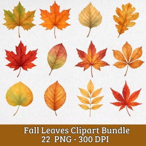 Watercolor Fall Leaves Clipart Bundle: 22 PNG Designs (Commercial License Included)