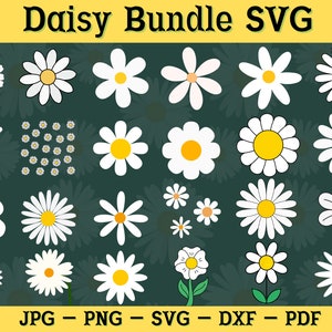 Daisy SVG / Daisy SVG Bundle / envoltura de vaso de margaritas / envoltura de vaso de flor de margarita / Daisy SVG Files / envoltura de margarita svg