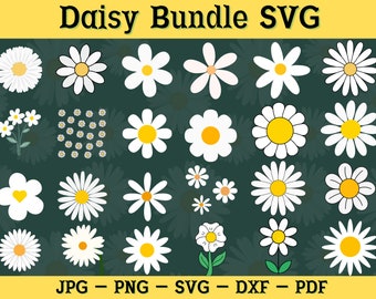 Daisy SVG | Daisy SVG Bundle | daisies tumbler wrap | daisy flower tumbler wrap | Daisy SVG Files | daisy svg wrap