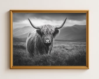 Highland Cow Photography Wall Art, Rustic Farmhouse Decor, Scottish Highland Print