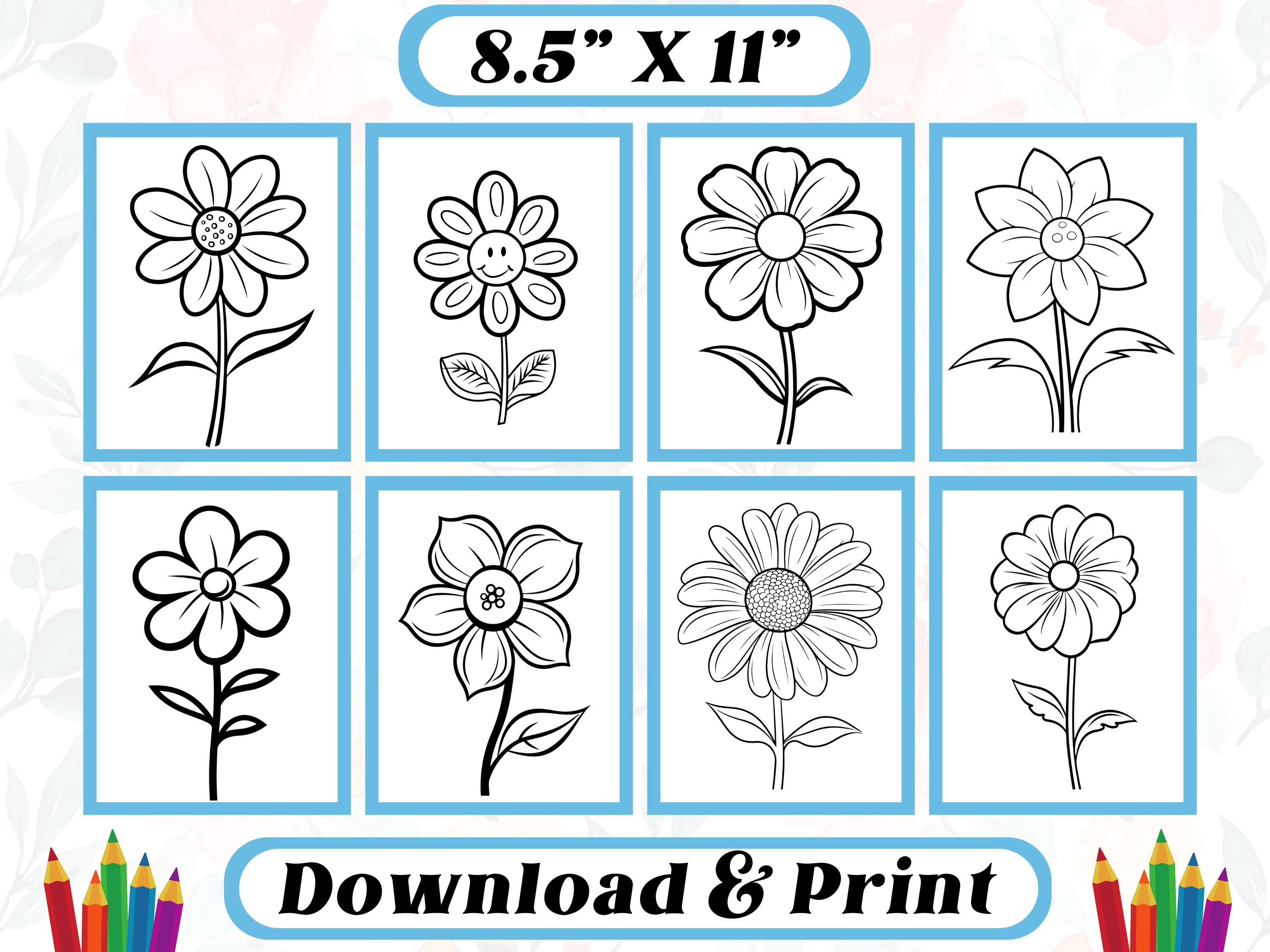 Bold Flower Coloring Pages: Easy Floral Designs for Kids (PDF Pattern ...