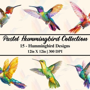 Watercolor Hummingbird Clipart: Pastel Bird Designs (PNG, JPG, PDF)