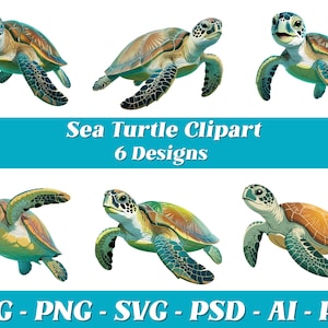 Imágenes prediseñadas de tortuga linda, descarga digital de tortugas marinas, arte de tortugas marinas, lindas tortugas marinas png, animal marino png, sublimación de tortuga, tortuga