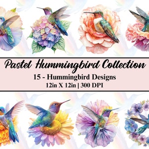 Watercolor Hummingbird Clipart: 15 Pastel Bird Designs (PNG, JPG, PDF)