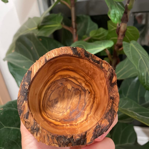 Tiny Olive Wood Bowl
