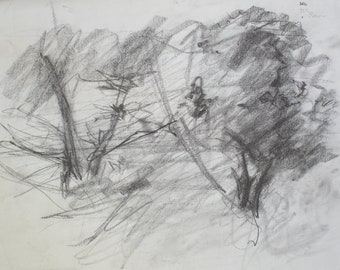 CHARCOAL LANDSCAPE SKETCH — Impression of the Bog Plein-Air