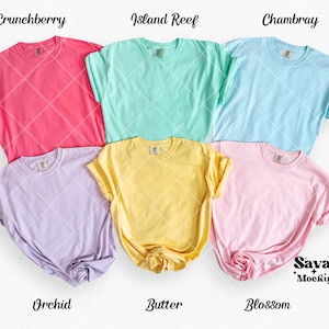 Puede incluir: Seis camisetas en blanco de diferentes colores: Crunhberry (rosa), Island Reef (azul claro), Chambray (azul claro), Orchid (lila claro), Butter (amarillo) y Blossom (rosa claro).