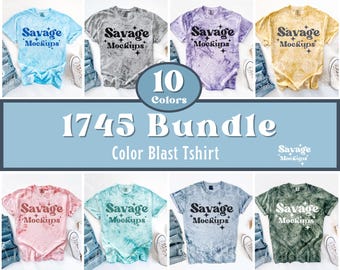 Comfort Colors Color Blast 1745 Bundle | 1745 Mockup Bundle | Color Blast 1745 Mockup | Outfit Flat Lay | Smoke, Amethyst, Clay, Ocean Mock