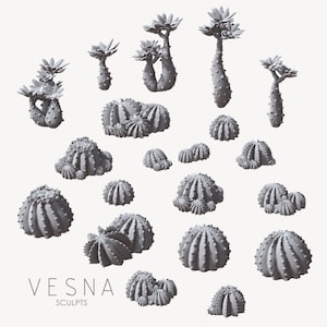 Set kleine cactussen DnD Dungeons and Dragons Miniatuur basismaterialen Vetplanten Miniatuur basismaterialen voor diorama&#39;s of voetstukken