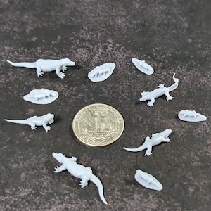 May include: A collection of ten small, white, plastic lizard figurines. The lizards are in various poses and are about the size of a US quarter.