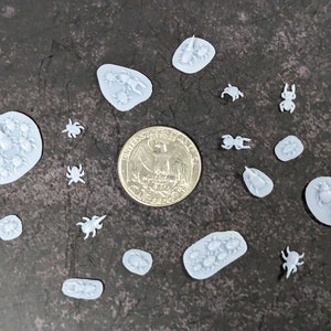 Pack d&#39;insectes D&D Dungeons and Dragons TTRPG Miniatures 28 mm/32 mm Insect Bugs Dispersion Terrain Bugs Miniatures DnD Monsters Bases de bestioles
