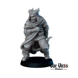 Tiefling Assassin Rogue DnD Dungeons and Dragons 28mm/32mm TTRPG Fantasy Miniatures Wargame 3D Printed Miniature Assassin