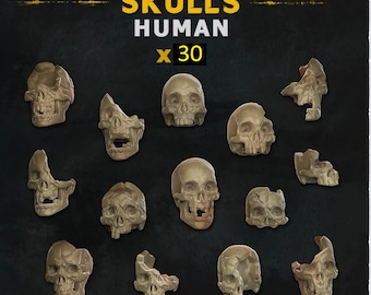 May include: A collection of 30 human skulls, some are broken and some are whole, all are in a light beige color against a dark background.