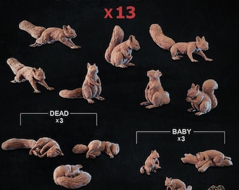 13 pc Squirrels, for Dungeons and Dragons 28mm/32mm Basing Bits DnD Scatter Terrain Scenery Scatter D&D TTRPG Mini Basing Material - ZbW