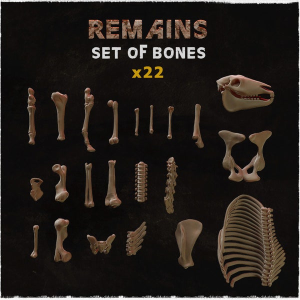 22pc Small Bone Remains DnD Dungeons and Dragons 28mm/32mm Scale TTRPG Wargame Scatter Terrain Bone Scatter Basing bits & Materials Fantasy