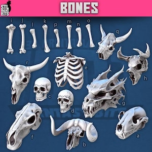 May include: A collection of white bone models, including skulls, ribs, and various limb bones. The word "BONES" is displayed in large, bold letters at the top. The models are arranged on a blue background.