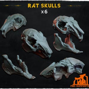 6pc Rat Skull (Basing Bits 1.0) 28mm/32mm TTRPG Abandoned Fantasy Battlefield Basing Macabre Rodent Skull Scatter Skaven Scenery ElementsZbW