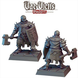 Knight Miniature for DnD Dungeons and Dragons 28mm/32mm Scale TTRPG Fantasy Wargame Knight Hammer and Shield Warrior Medieval miniature