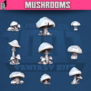 Op de afbeelding: Een verzameling witte paddenstoelbeeldjes met verschillende vormen en maten. De afbeelding toont verschillende paddenstoelontwerpen, elk met een unieke hoed en steel. Het woord "MUSHROOMS" wordt in grote, vette letters bovenaan de afbeelding weergegeven.