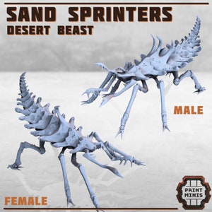 Sand Sprinters, DnD, Dungeons and Dragons, Desert scatter terrain, Wasteland, DnD Desert, Scatter, 28mm 32mm, Print Minis