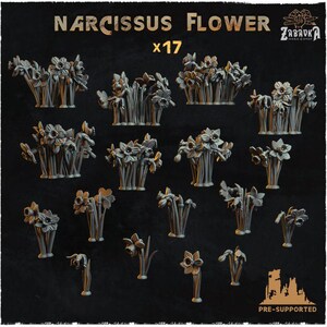 Può includere: Un set di 17 fiori di narciso in miniatura stampati in 3D con supporto pre-installato. I fiori sono in diverse fasi di fioritura, alcuni completamente aperti e altri ancora in bocciolo. I fiori sono di colore grigio chiaro e hanno una texture realistica. Il testo "Narcissus Flower x17" è stampato sull'immagine.