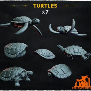 Könnte beinhalten: Sieben 3D-gedruckte Schildkrötenmodelle in verschiedenen Posen, darunter eine schwimmende Schildkröte, eine Schildkröte mit dem Kopf aus dem Panzer heraus und eine Schildkröte mit dem Panzer nach oben. Die Modelle sind grau und haben eine strukturierte Oberfläche. Der Text "TURTLES x 7" ist über den Modellen gedruckt.