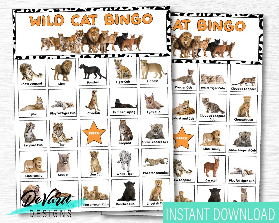 Wild Cat Bingo Game Set of 15 Cards Call Cards Kids Birthday Party Lion